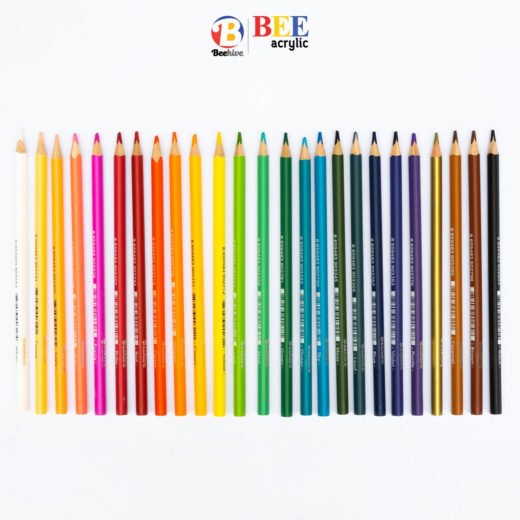สีไม้-ดินสอสี-beehive-แท่งยาว-สดเข้ม-ระบายง่าย