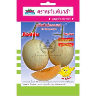 เมล็ดพันธุ์ แคนตาลูป ท๊อปซัน 0.5 กรัม/ซอง ตราตะวันต้นกล้า