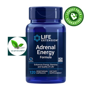 ภาพหน้าปกสินค้าLife Extension Adrenal Energy Formula / 120 Vegetarian Capsules ซึ่งคุณอาจชอบสินค้านี้