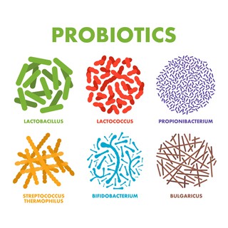 ภาพขนาดย่อของภาพหน้าปกสินค้าNature's Bounty, Acidophilus Probiotic, 120 Tablets โปรไบโอติกส์ ชนิด 100 ล้าน CFU  ช่วยระบบการย่อยและระบบขับถ่ายได้ดี จากร้าน d999d บน Shopee ภาพที่ 6