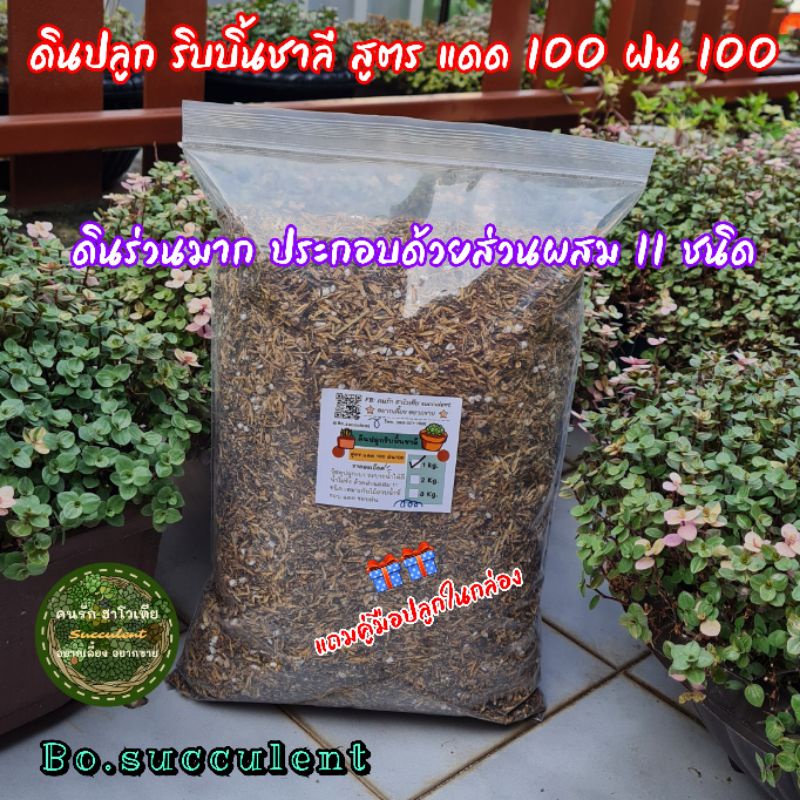 ดินปลูกริบบิ้นชาลี-1kg-ดินปลูกสำเร็จ-ดินปลูก