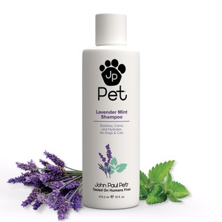 John Paul Lavender Mint Shampoo จอห์นพอว์ แชมพูสูตรหอม กลิ่นลาเวนเดอร์มิ้นท์