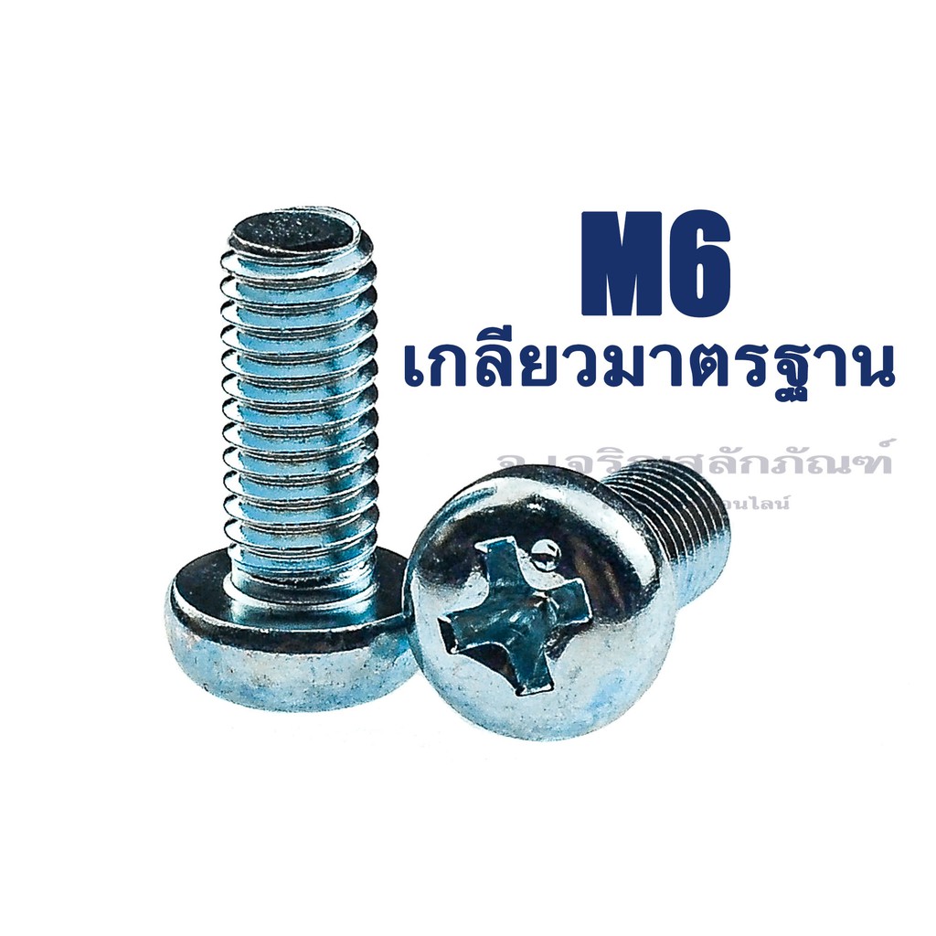 ราคาและรีวิวน็อตหัวกลมแฉกเหล็กชุบขาว ขนาด M6 (เบอร์ 10) ความยาว 10-80 (แพ็คละ 10 ตัว) น็อตหัวมน น็อตหัวแฉก น็อตเกลียวมิล