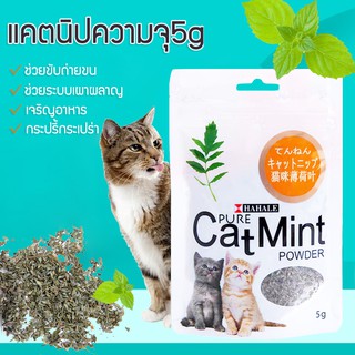 ภาพหน้าปกสินค้า😻พร้อมส่ง😻 อาหารแมว Catnip กัญชาแมว ช่วยขับถ่ายขน ช่วยระบบเผาผลาน เจริญอาหาร กระปรี้กระเปร่า 5 กรัม / ถุง ที่เกี่ยวข้อง