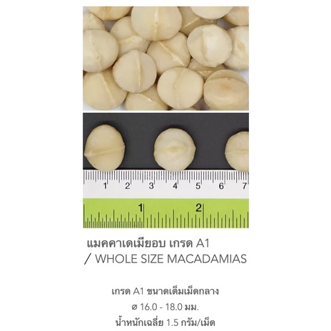 แมคคาเดเมีย-อบพร้อมทาน-เต็มเม็ดกลาง-a1-ยกลัง-5kg-macadamia-nuts