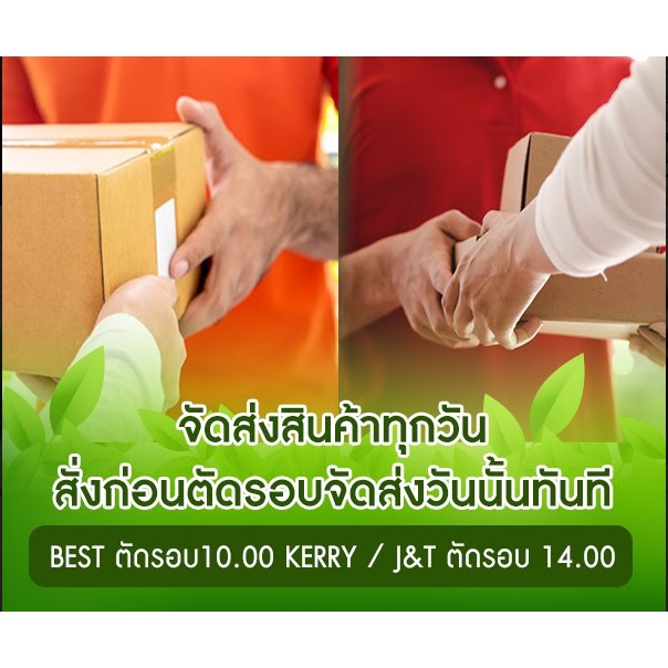 ไฟเบอร์คาบู-คอคาบู-411