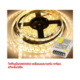 ไฟเส้น LED SMD5050เคลือบพร้อมหม้อแปลง 10A