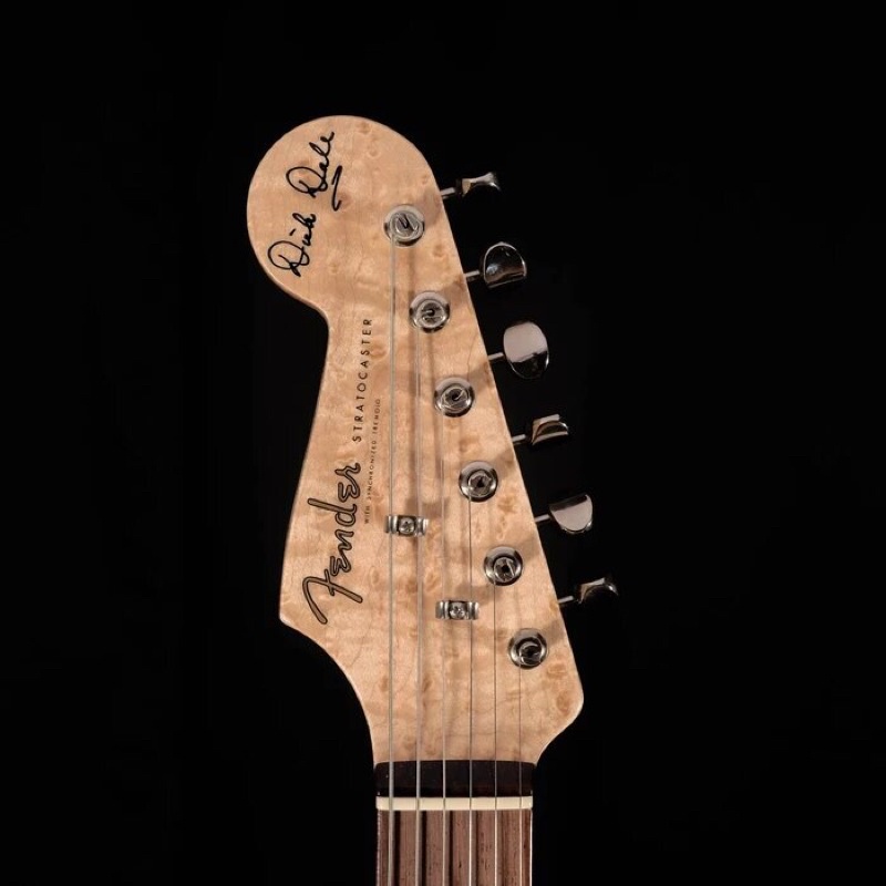 โลโก้หัวกีต้าร์-fender-stratocaster-dick-dale-signature