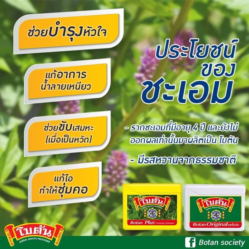 botan-original-ยาอม-โบตัน-ออริจินัล-กล่อง-24-ตลับ