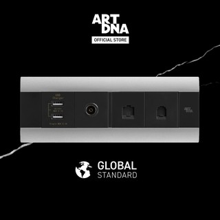 ART DNA รุ่น A88 USB +TV +Computer+Telephone Socket สีซิลเวอร์ ปลั๊กไฟโมเดิร์น ปลั๊กไฟสวยๆ สวิทซ์ สวยๆ