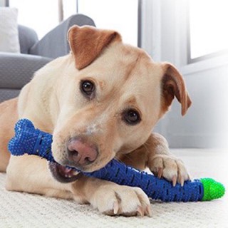 ภาพหน้าปกสินค้ายางกัดแปรงฟันสุนัข แปรงสีฟันสุนัข และช่วยนวดเหงือกเพิ่มการไหลเวียนของเหงือก ที่เกี่ยวข้อง