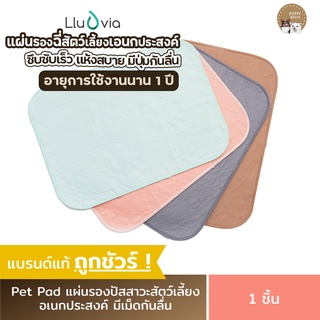 ภาพหน้าปกสินค้าแผ่นรองฉี่สุนัข Lluvia PetPad แบบซักได้ อย่างดีซึบซับเร็ว หนานุ่มถึง4ชั้น ป้องกันการรั่วซึมได้100% ที่เกี่ยวข้อง