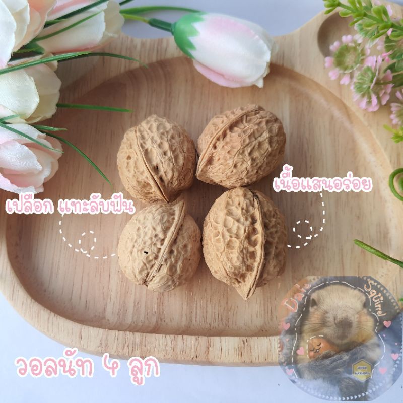 วอลนัท-4-ลูก-walnuts-เกรดคุณภาพ-แทะลับฟัน-ของแทะกระรอก-สำหรับ-สัตว์ฟันแทะ-กระรอก-นก-หนู