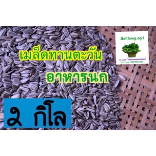 เมล็ดทานตะวันอาหารนก สัตว์ปากจิก 1 กิโลกรัม