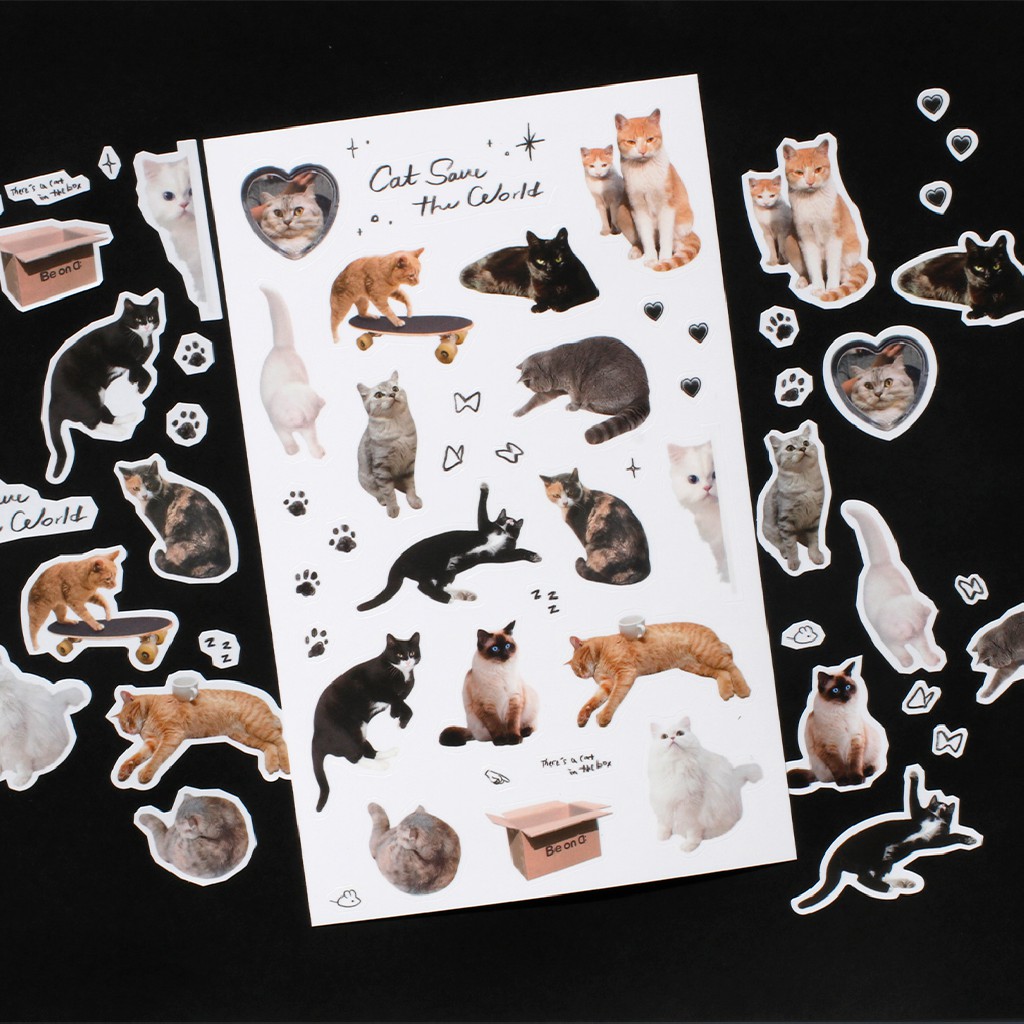 beond-object-cat-sticker