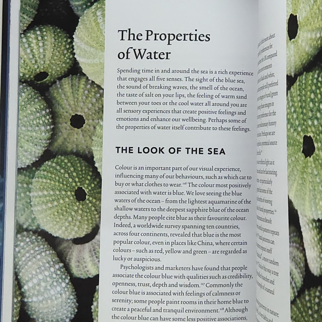 หนังสือ-การรักษาด้วยน้ำทะเล-by-the-sea-the-therapeutic-benefits-of-being-in-on-and-by-the-water-192page