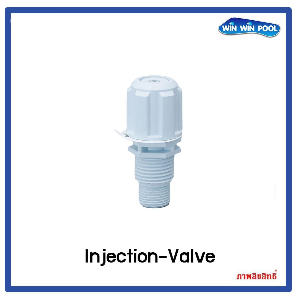 Injection Valve Chemicals dosing pump PVDFT Seal FPM ฟุตวาล์ว ปั๊มเคมี