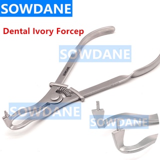 Stainless Steel Dental Matrics Forceps Matrice Matrix Ivory Forcep Rubber Dam Clamp Plier Dental Surgical Instrument Too