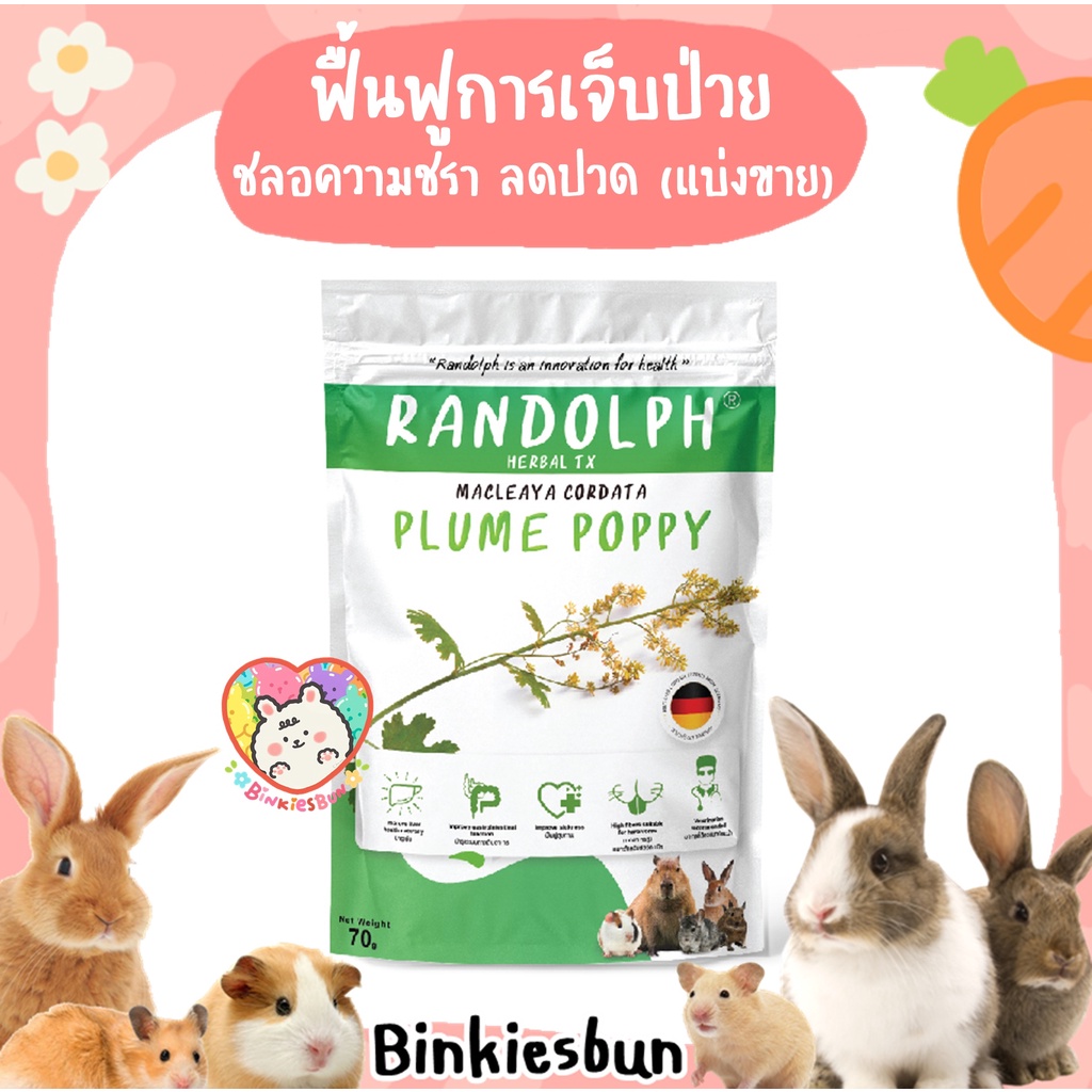 randolph-แรนดอล์ฟ-่herbal-tx-plume-poppy-ฟื้นฟูการเจ็บป่วย-ต้านอนุมูลอิสระ-ชลอความชรา-และลดปวด-แบ่งขาย-6-เม็ด