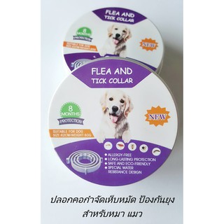 Flea &amp; tick collar ปลอกคอกำจัดเห็บหมัด มหัศจรรย์ ปลอกคอสุนัข