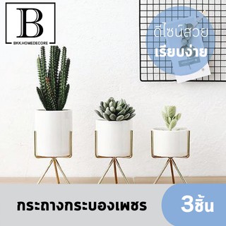 BKK.DECOR กระถาง กระถางดอกไม้ กระบองเพชร  SET 3ใบ น่ารัก แต่งบ้าน ออฟฟิต แจกัน เซรามิก flower plant garden seed bkkhome