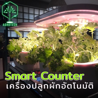 Smart Counter เครื่องปลูกผักอัตโนมัติภายในอาคาร ปลูกผักในคอนโด ควบคุมผ่าน Mobile Application ปลูกต้นไม้