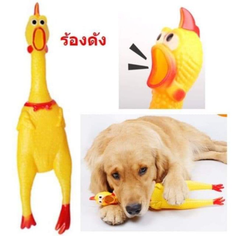 ไก่โอ๊กร้องดัง-ไก่โอก-ตุ๊กตาไก่ร้องได้-ของเล่นมีเสียง-bc097