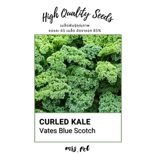 เมล็ดเคล Vates Blue Scotch Curled Kale