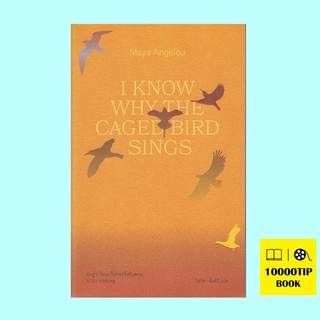 ฉันรู้ว่าไยนกในกรงจึงขับขาน (ปกอ่อน) (I Know Why the Caged Bird Sings) (มายา แอนเจลู, Maya Angelou)