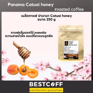 BESTCOFF เมล็ดกาแฟ ปานามา คาทุย Panama Catuai roasted coffee ขนาด 250 g