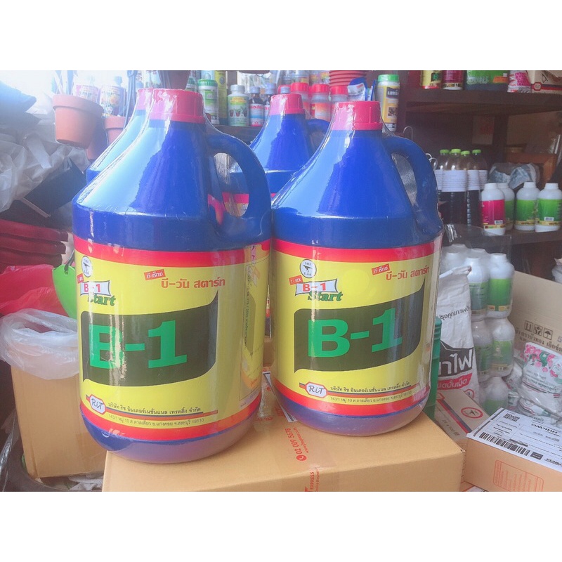 ภาพหน้าปกสินค้าB-1Start น้ำยาเร่งรากขนาด 4ลิตร จากร้าน anutchanaree บน Shopee