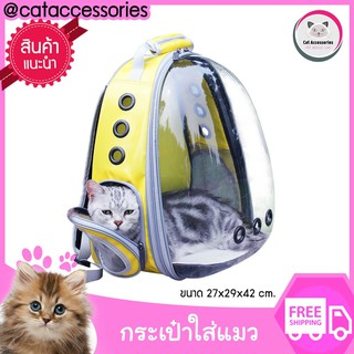 Cat Accessories กระเป๋าใส่แมวสะพายหลังแบบใส ขนาด 27x29x42 Cm. มี 4 สีให้เลือก