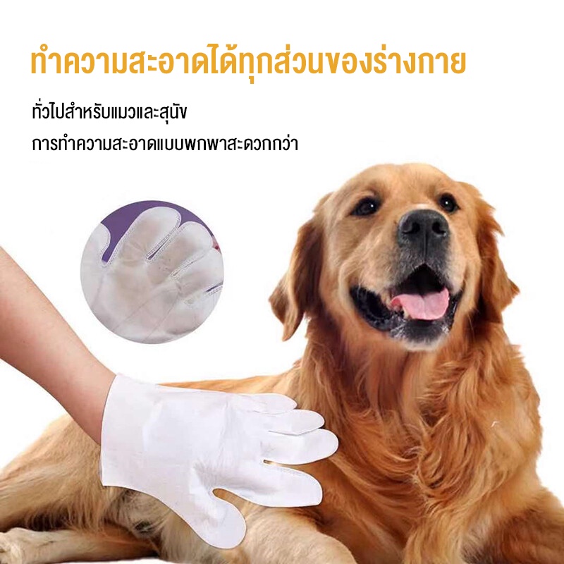 ภาพหน้าปกสินค้าMASTI ส่งจากไทย  ถุงมือสัตว์เลี้ยงแบบใช้แล้วทิ้ง, ถุงมือทำความสะอาดระงับกลิ่นกายสำหรับแมวและสุนัข, ถุงมือทำความสะอาดฆ่าเชื้อ (6 แพ็ค)LI0290 จากร้าน kuike136.th บน Shopee