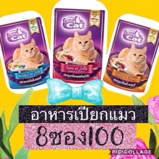 สินค้า อาหารเปียก แมว ราคาประหยัด