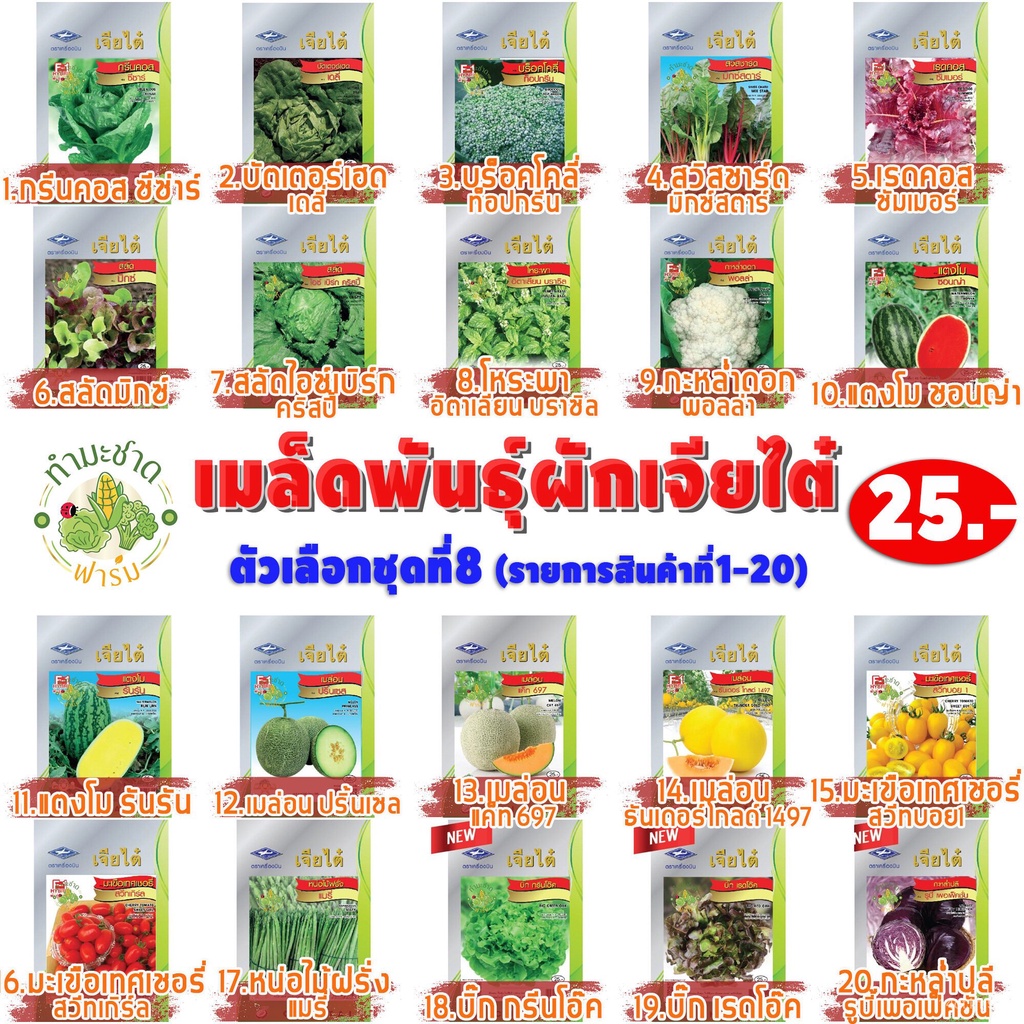 เมล็ดอวบอ้วน100-10แถม2-เจียไต๋-เมล็ดพันธุ์-คะน้าใบ-chinese-kale-large-leaf-ประมาณ-2-260-เมล็ดตราเจียไต๋-ตราเจียไต๋