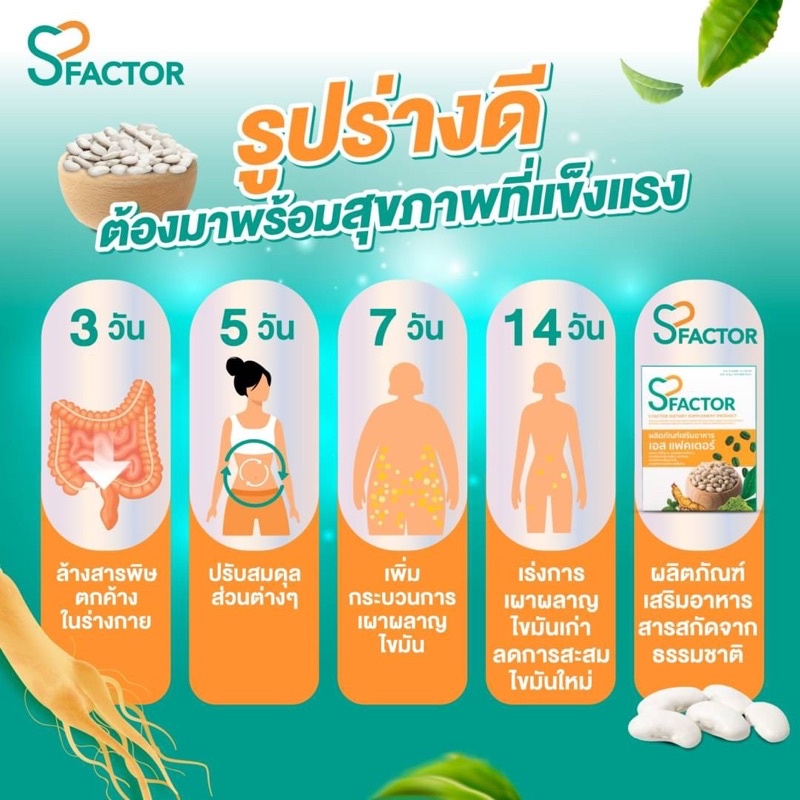 sfactor-capsule-อาหารเสริมควบคุมน้ำหนัก-ลดไขมันส่วนเกิน-ดีท็อกซ์-เร่งเผาผลาญ-เสริมภูมิค้มกัน-15-แคปซูล-กล่อง