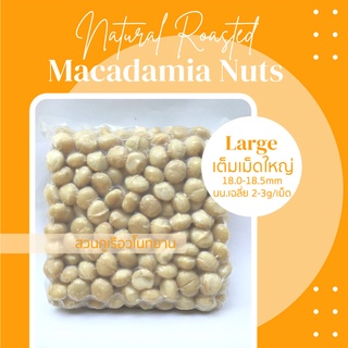 แมคคาเดเมีย อบพร้อมทาน เต็มเม็ดใหญ่ Macadamia nuts