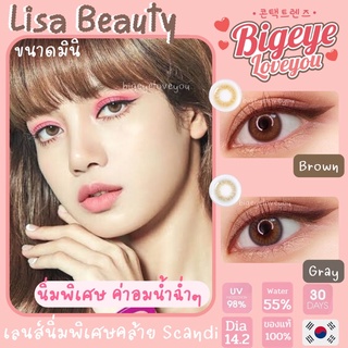 คอนแทคเลนส์🌈Lisa🌈 Brown/Gray (Beautylens) ขนาดมินิ💖ลายคล้าย Scandi(O-lens)
