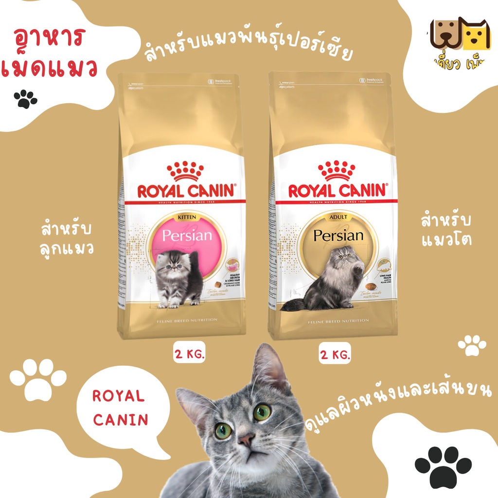 ขนาด-2-กก-royal-canin-persian-adult-kitten-persian-อาหารเม็ดแมวโตและลูกแมวเปอร์เซีย