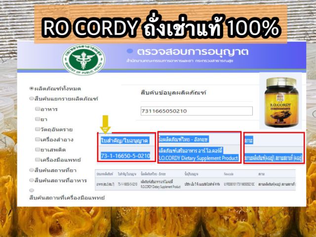 r-o-cordy-rocordy-r-o-cordy-อาร์โอ-คอร์ดี้