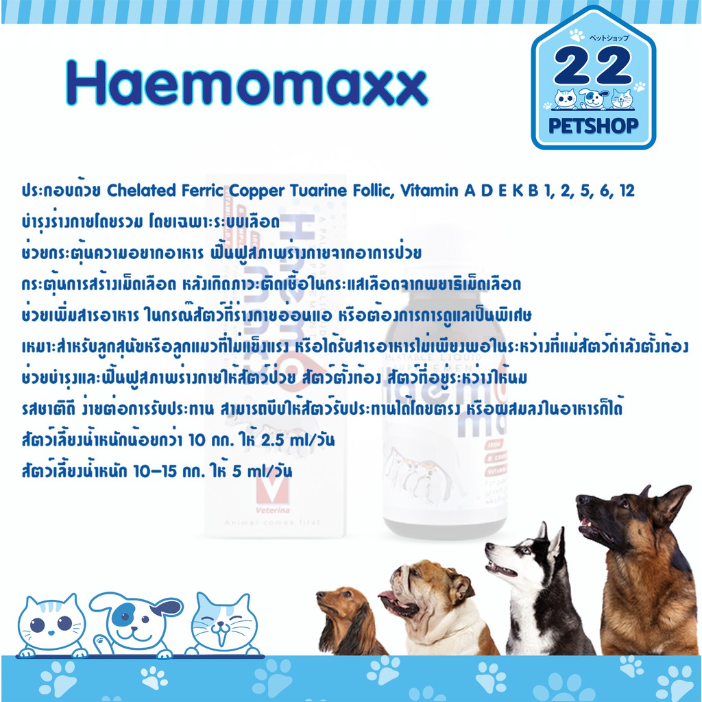 haemomaxx-100ml-วิตามินบำรุงเลือด-เหมาะกับลูกสุนัข-ลูกแมว-แม่สุนัขหลังคลอดลูกหรือให้นมลูก