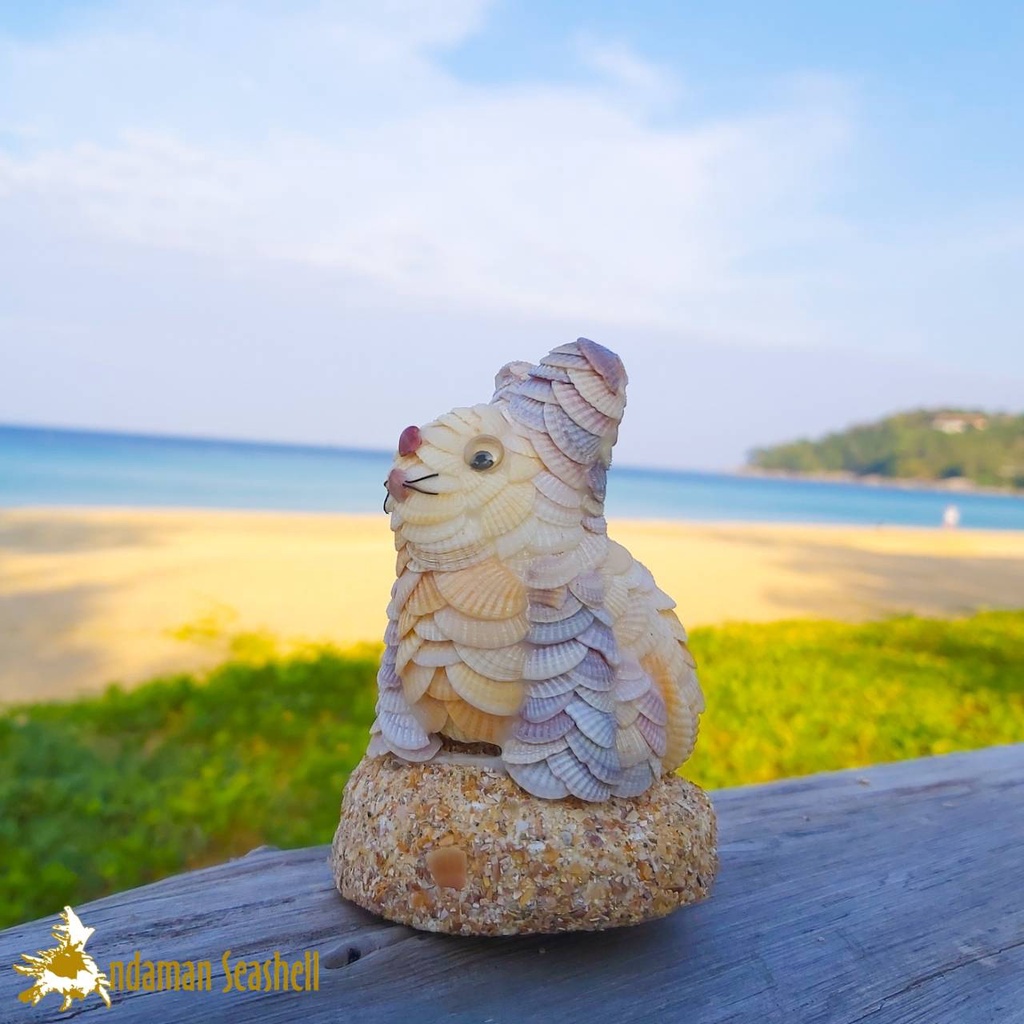 andaman-seashell-ตุ๊กตาปูนปั้นติดเปลือกหอย-กระต่าย-ติดหอยแครง