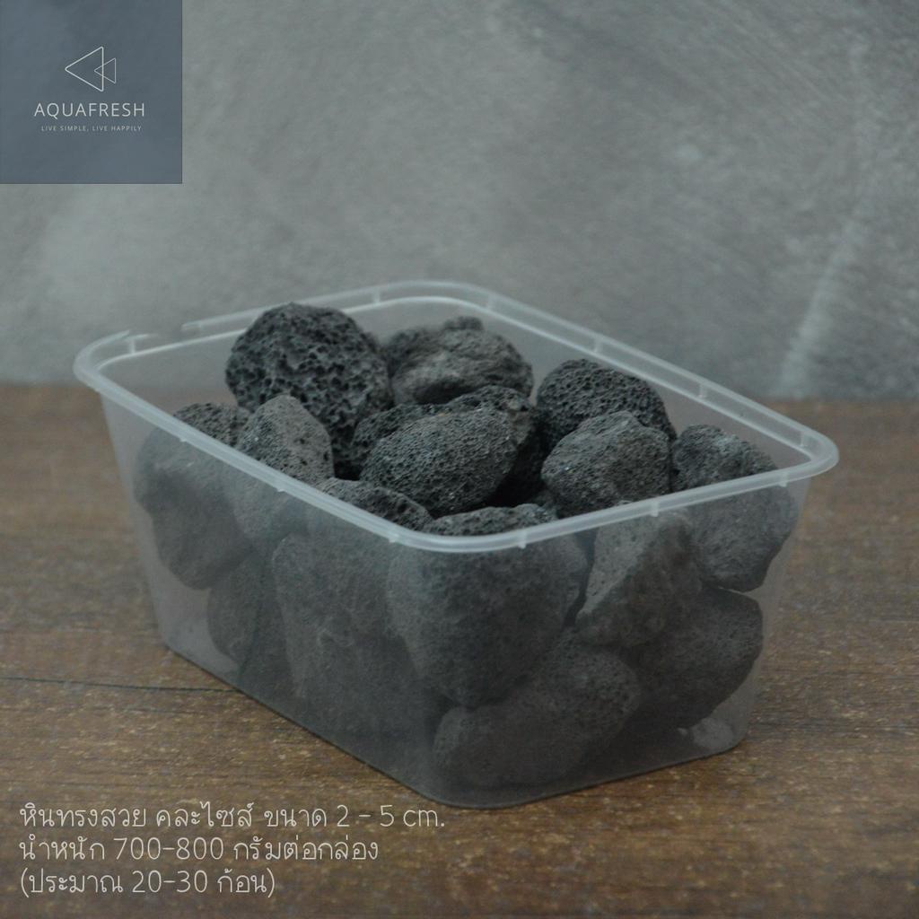 black-lava-stone-หินแบล็คลาวา-หินภูเขาไฟสำหรับตกแต่งตู้ปลา-หินพันต้นไม้