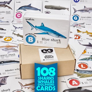 แฟลชการ์ด บัตรคำ การ์ดคำศัพท์ Flash Cards [ฉลาม-วาฬ-โลมา Sharks, Whales &amp; Dolphins] 108 ใบ ของเล่นเสริมพัฒนาการ