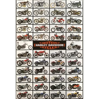 โปสเตอร์ รถมอเตอร์ไซค์ ชอปเปอร์ Harley Davidson (1907-1980) POSTER 24”X35” Inch American Motorcycle 42 Models