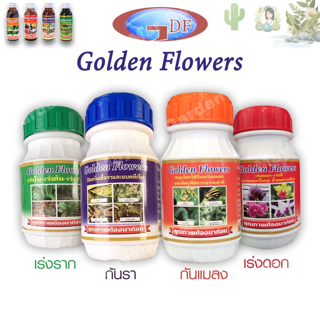 รูปภาพสินค้าแรกของยากันรา ยาเร่งราก ยากันแมลง ราสนิม เร่งดอก ปุ๋ย ไม้ใบ กระบองเพชร ป้องกันแมลง ชนิดน้ำ Golden flower flowers 100 - 250 CC