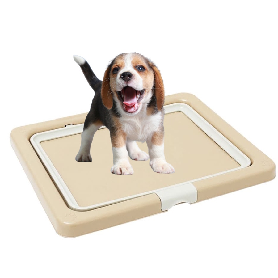 ถาดรองฉี่สุนัข-ห้องน้ำสุนัข-ถาดฉี่หมา-ห้องน้ำหมา-แผ่นรองฉี่สุนัข-รุ่นclassic-ไม่มีตะแกรง-kanimal-dog-toilet-dave