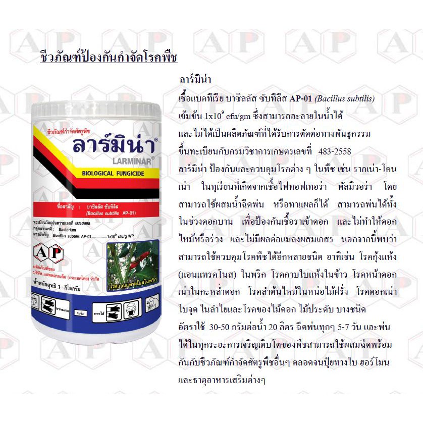 ลาร์มิน่า-1kg-บาซิลลัส-ซับทิลิส-ป้องกันกำจัดเชื้อราและแบคทีเรีย-สารชีวภัณฑ์-เกษตรอินทรีย์-โรคแอนแทรคโนส-โรคกุ้งแห้งพริก