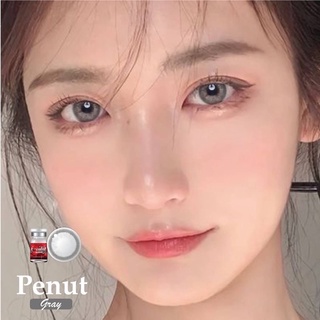 ✨ Penut gray (Lovely lens) ขนาดมินิ Mini ✔️เลนส์จดทะเบียนเป็นเครื่องมือทางแพทย์ 🇰🇷เลนส์เกาหลีนำเข้าถูกต้อง🇰🇷