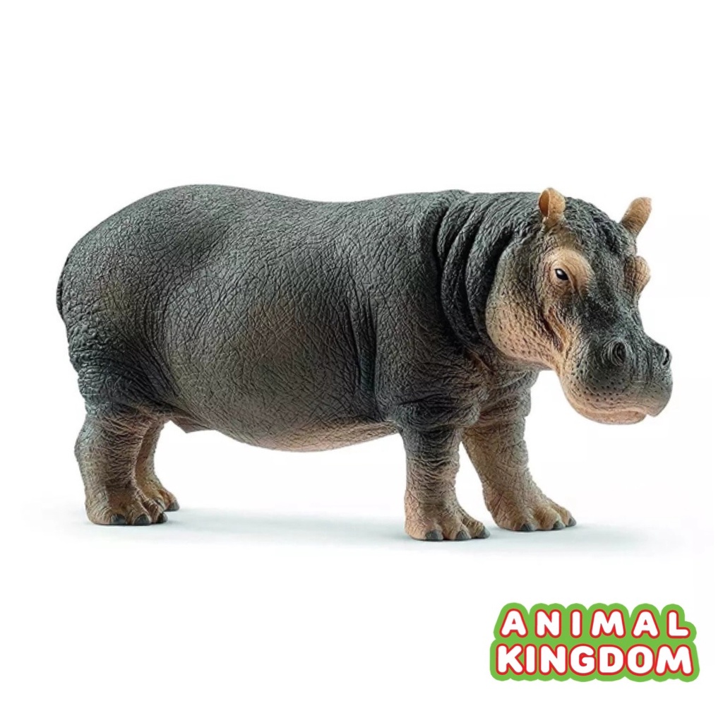 animal-kingdom-โมเดลสัตว์-ฮิปโปโปเตมัส-ขนาด-12-60-cm-จากหาดใหญ่